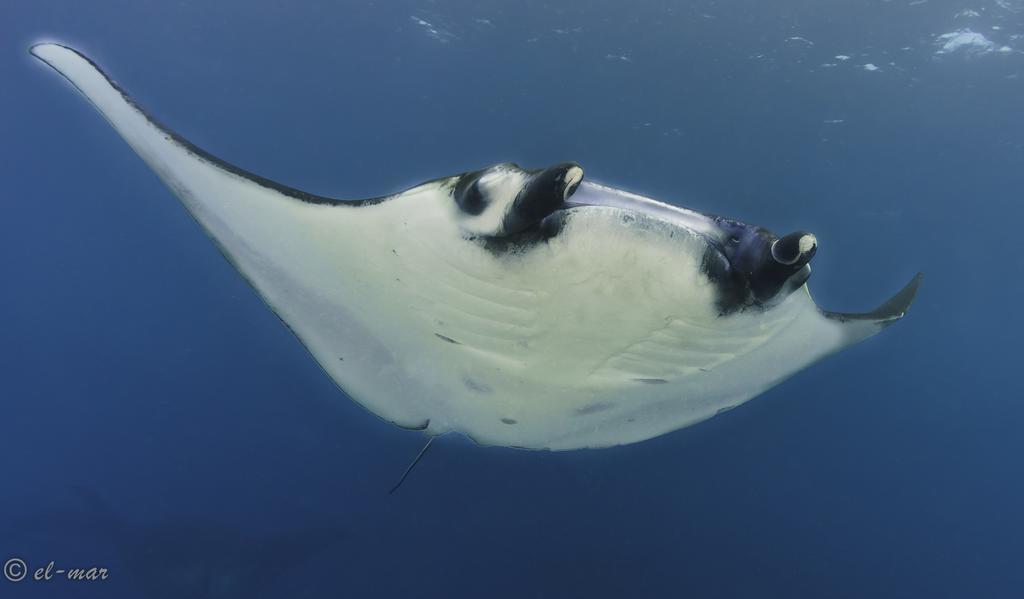 Kubu Indah Dive & Spa Resort Tulamben Exteriér fotografie